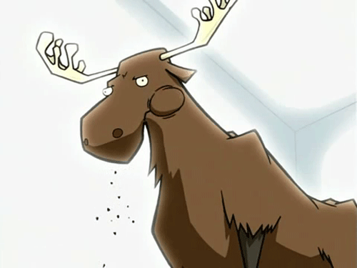 Moosey Fate